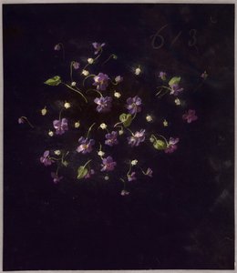 Saint Germain by Unknown